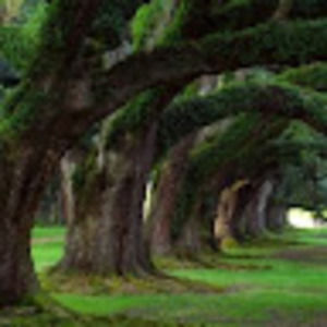 Meet your Posher, Trey